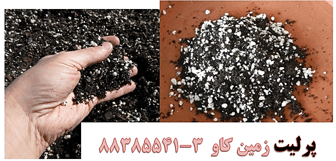 perlite