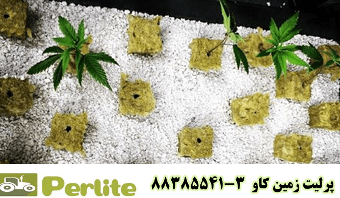 perlite1